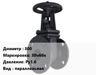 Задвижка чугунная канализационная 300 30ч6бк Ру1.6 параллельная